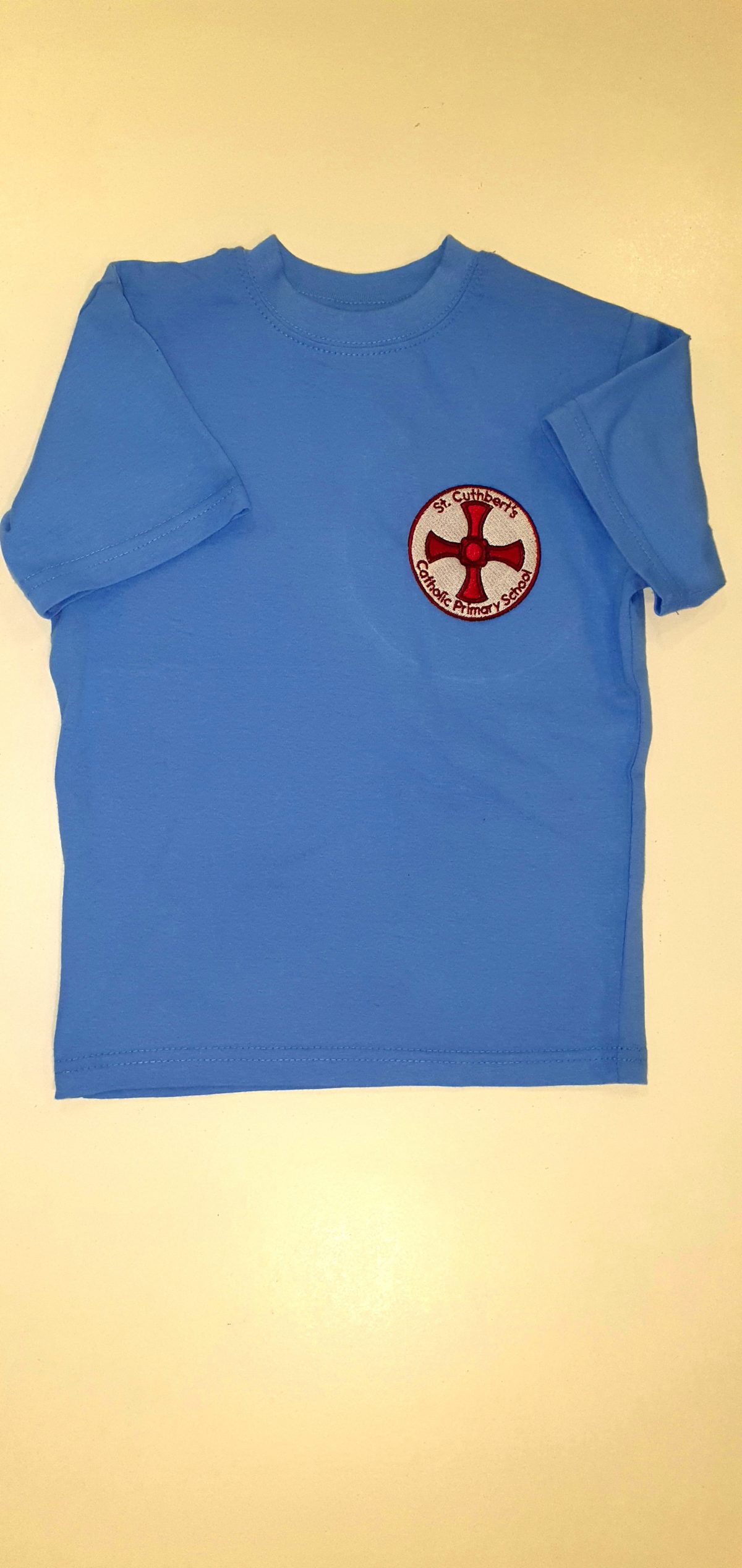 SKY BLUE P.E. T-SHIRT with embroidered school logo
